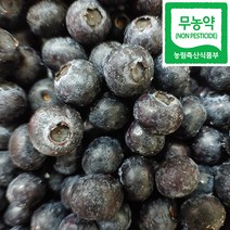 영농조합법인 백운팜 무농약 블루베리(냉동) 1kg, 1개, 무농약블루베리 1kg