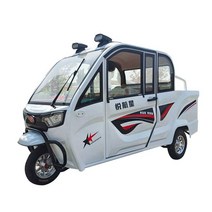 밀폐형 3륜전동차 농업 캠핑장 글램핑장 전동 카트, 48V