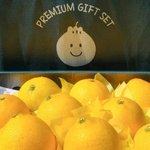 제주 황금향 선물세트 1박스, 2kg 5-12과, 부직포가방 추가