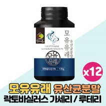 모유유래 유산균 분말 가루 모유유산균 락토바실러스 가세리 루테리 퍼멘텀 스페인특허 1000억 유산균 원료사용 프리미엄 생유산균 함유, 170g x 12통