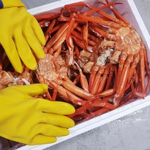 포항 구룡포 프리미엄 제철 연지홍게 3kg 당일자숙 홍게 찜