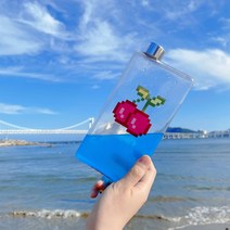 국산 북워터 키치 체리보틀 휴대용물병 500ml