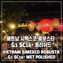 (커피생두) 306 베트남 시멕스코 로부스타 G1 SC16+ 폴리쉬드 1kg