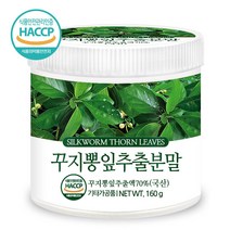 푸른들판 국산 꾸지뽕 잎 추출 분말 가루 국내산 구지뽕 구찌뽕 꾸찌뽕 구찌봉 추출물 차 haccp 인증, 160gx1통, 1개