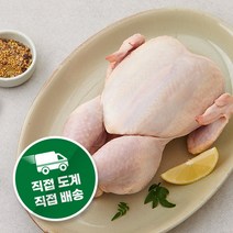 퍼스트픽 국내산 초신선 육계 생닭 초신선 도계장 직송 육계 직접도계 직접배송, 12호