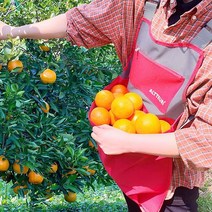 과수원 농장 과일 작물 수확용 앞치마, 그레이, 1개