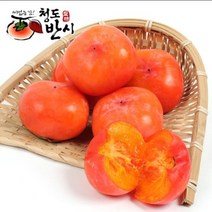 쭌이네 산지직송 달콤한 청도반시 5kg(후숙상품), 1통, 청도반시 5kg(31-35과)