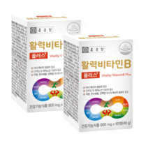 종근당 활력 비타민B 플러스 60정 2박스 4개월분 / 수용성 비타민, 종근당 활력 비타민B 60정 2박스 4개월분