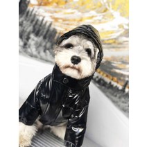 강아지 의류 패딩 소형견 중형견 디자이너 애완견 의류 겨울용 따뜻하고 두꺼운 스와아날 벨벳 강아지 재, 01 Black_02 M
