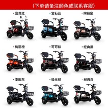 장애인용 3발전동스쿠터 오토바이삼발이 어르신전동차 전기 자전거 가정용 픽업 하차 어린이, 600W 베어 카, 단일사이즈