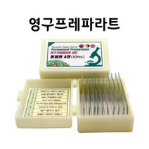 영구프레파라트-동물편A형(10pcs)-SSN
