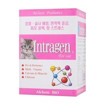 인트라젠 종합영양제 타블렛 200정(25073) 반려동물면역력증강영양제/반려동물치료보조제/스트레스저항력약/종합영양제, 단일 간식 맛