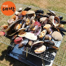 더대박 조개구이 모듬세트 캠핑용 조개찜 조개탕, 1set, 가족 조개세트 4kg