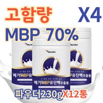 뼈 엔 엠비피 mbp 가루 분말 wpcwpi 프리미엄 산양유 단백질 효능