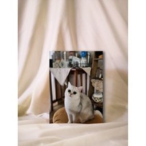 더갤러리 압축 아크릴액자 소형 맞춤제작 - 5x5 5x7 5x10, 실버