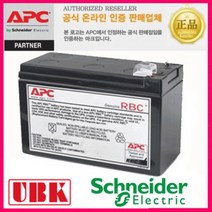 APC RBC110 BR550GI교체용 BACK UPS PRO550 전용 정품배터리