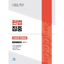헌법집중 7급공채 기출해설 : 국가직 7급·지방직 7급·국회직 8급 등 시험 대비, 윌비스