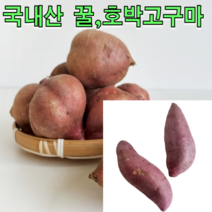 국내산 세척 꿀고구마 호박고구마 특상 혼합 3kg 5kg 호박 고구마 고구마 말랭이 꿀고구마 밤고구마, 세척 꿀고구마 5kg