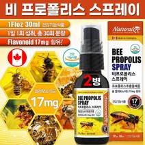 식약처 인증 캐나다 비 프로폴리스 스프레이 원액 프로폴리스 추출물 함량 성분 구강 건강 향균 항산화 도움 온 가족 성장기 청소년 직장인 부모님 선물 beepropolis 고함량, 30ml x 2병, 2개