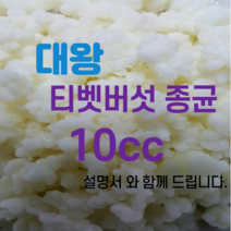 은수네 티벳버섯, 10cc, 1입