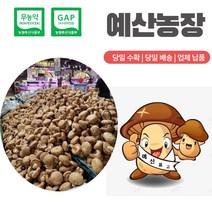 무농약인증 GAP인증 [예산 표고버섯] 산지직송 표고버섯1kg 상품 아기가 좋아하는 표고버섯이유식 동고 중품, 일반형