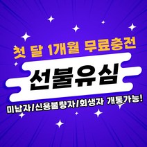 선불유심 선불폰개통 무료충전 무제한요금제 월정액요금제 당일개통 선불폰 아띠모바일, [SK] 안심300(무료충전), 문자(010-2934-2527)로 개통신청