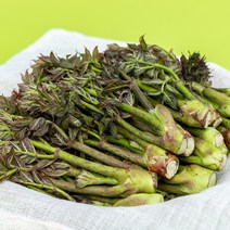 국산 두릅 150g, 10팩