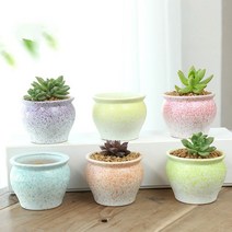 항아리 미니화분 소형화분 투톤화분 그라데이션 다육이 화분 인테리어화분 선인장 세라믹화분 작은화분, 그린