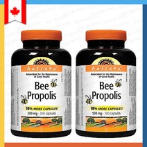 [2개세트] 홀리스타 비 프로폴리스 500mg 200 캡슐 Holista bee propolis