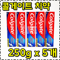 콜개이트 티알에스 플루오라이드 투스페이스트 그레이트 레귤러 플레버 구강관리 치약 250G X 5개입 1세트 COLGATE toothpaste great regular
