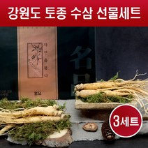 수삼 선물세트 자연산 인삼 생삼 강원도 산지직송 생인삼 고려인삼 7-9뿌리 꿀절임 수삼차 주스 쉐이크 담금주 요리용 국내산 설 추석 명절 선물용, 200g X 3세트