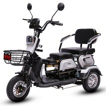 세발 스쿠터 삼륜 전동 2인 착석 세발 오토바이 리튬, 800W 60V20a 배터리수명55km 60V