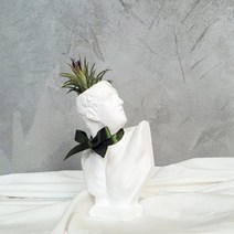 아트박스/모리아트 투우사 석고상화분 틸란드시아 론레어+모스+리본, 호머
