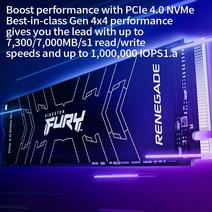 킹스톤 퓨리 레니게이드 PCIe 4.0 NVMe M.2 SSD 데스크탑 노트 북 PC용 인텔 AMD 메인 보드 CPU 7300 MB/s 500G 1T 2T 4T, [03] SFYRS 2TB