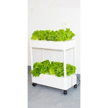 야채키우기 수직농장 콩나물 식물 재배기 수경재배키트 수경재배기, 2층 입체 물 순환 세트