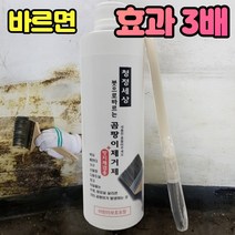 [리키보이즈]화장실 욕실 베란다 벽지 곰팡이 제거 곰팡이제거제 500ml, 붓 증정