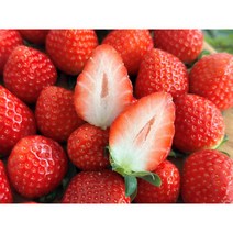 과일오락실 산지직송 청도 설향딸기 생딸기 왕딸기 1.5kg 선물용과일 가정용 포장용 안전택배, 800g