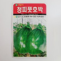 청피풋호박씨 10립