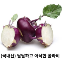 국내산) 신선한 콜라비 1통 3kg 5kg 10kg 국산 달달하고 아삭한 햇 콜라비 샐러드 자색채소 퍼플푸드, 1알