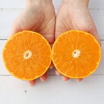 제주 천혜향 4.5kg 8kg 가정용 선물세트, 천혜향 가정용 (소과) 2.5kg (13-15과)