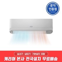 캐리어 캐리어 냉난방 벽걸이에어컨 11평형 ARQ11OJ 전국설치, 단일옵션