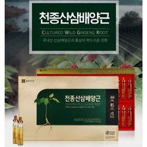 기력보충 천종산삼 배양근 노인 원기회복 어르신 몸보신 밥맛 입맛없을때 산삼배양근액, 1개
