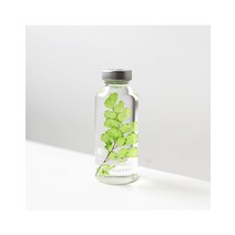 Plant Specimen : Adiantum tenerum [30ml] - 식물표본 : 아디안텀