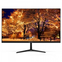 w 비트엠 Newsync X248VH 베젤리스 블랙 무결점