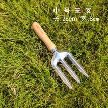 모종삽 가래삽 가드닝 꽃삽 미니삽 원예도구 화분 스쿱삽 가정용 조경삽 묘목 스테인리스, N