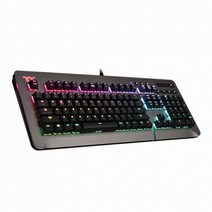 써멀테이크 LEVEL 20 RGB 게이밍 키보드 청축, KB-LVT-BLSRKO-01, 티타늄, 일반형