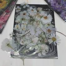 화이트 압화 스티커 포용 꽃집 캐리어 생일 답례 백일 청첩장 어린이집 답례품 빈티지 다꾸 오브젝트 구디백 아이패드 꾸미기 세트 폰꾸 폴꾸 폰꾸미기 감성 조각 다이어리 입체 꽃