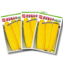 초당옥수수씨앗 (100립), 7개