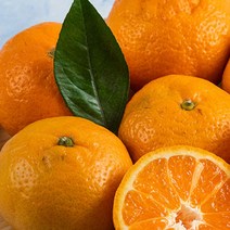 영화청과 특급 제주도귤 4kg 청 만들기 조생 노지, 클로바트레이딩 쿠팡 1, 클로바트레이딩 쿠팡 본상품선택