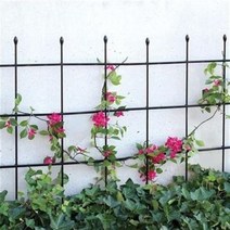 정원 가든 화단 구갑룡 기등골 아케이드 선반 마당 꽃받침대 실용실외, 01 자가 체크 세트 (평면 입체), 01 중간 정도